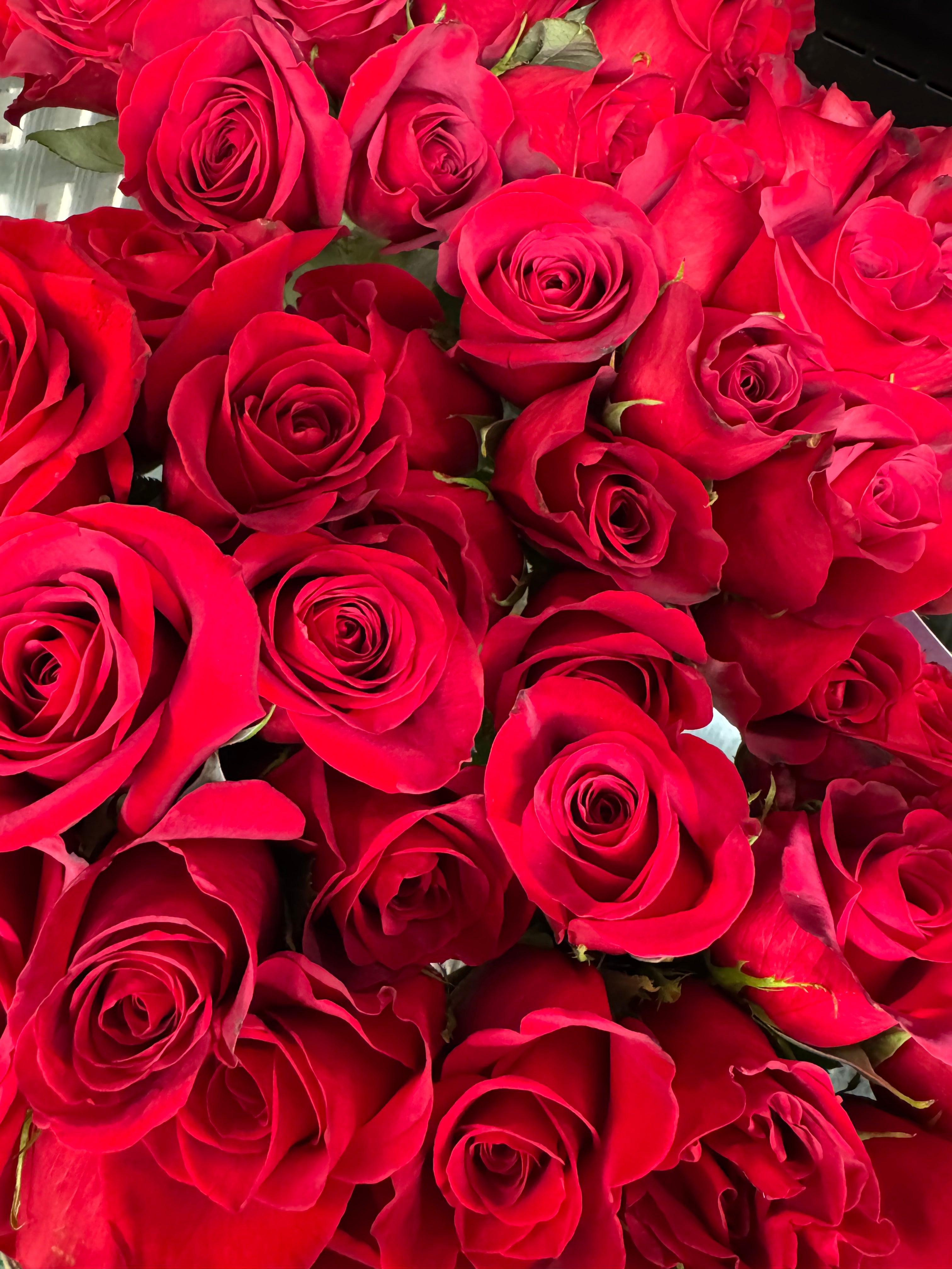 Deep Pink Roses with Greenery