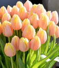 Quarterly Luxury Floral Bouquets with Gifts