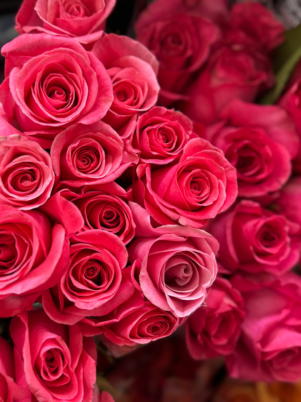 6 Luxury Floral Bouquets with Gifts