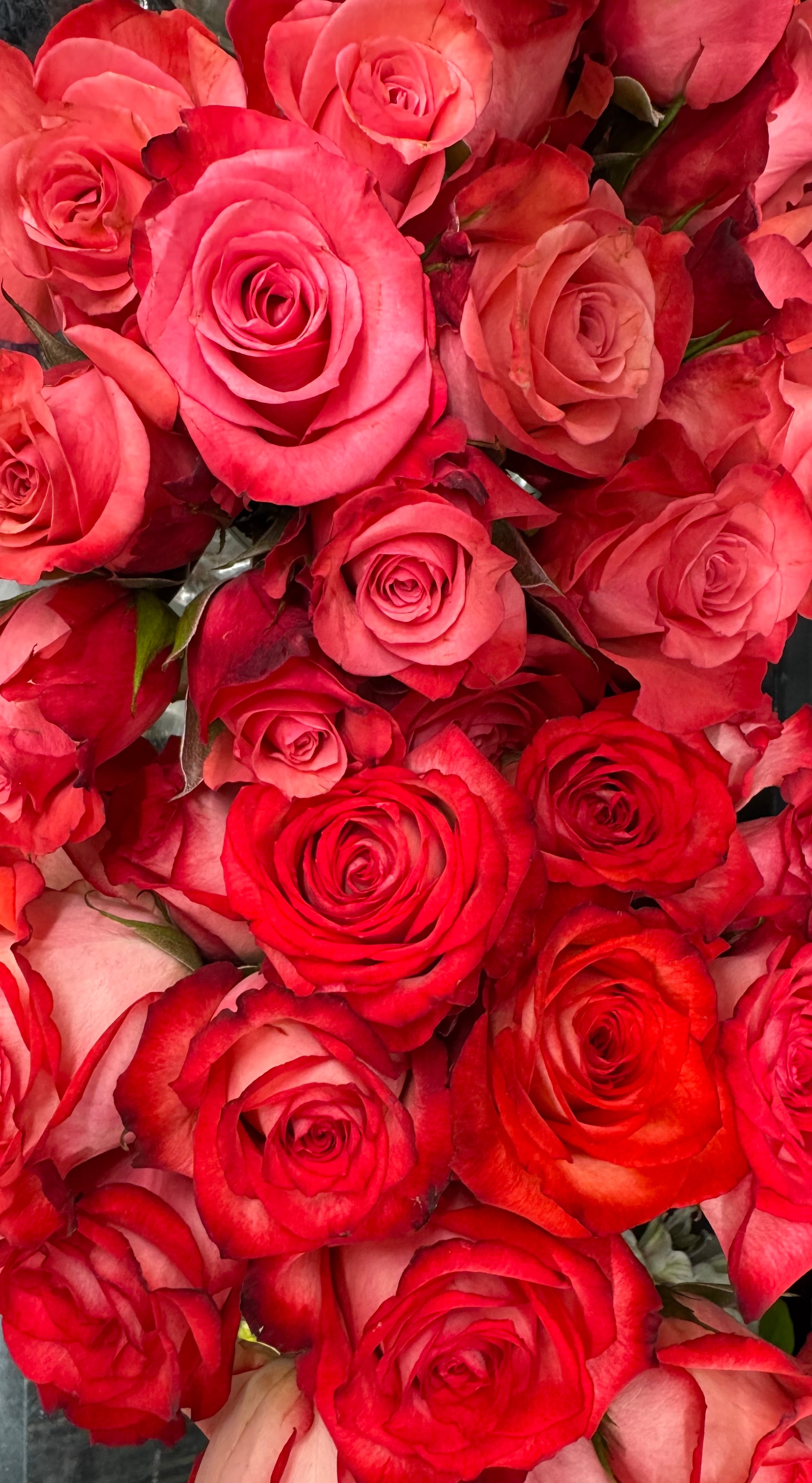 6 Luxury Floral Bouquets with Gifts